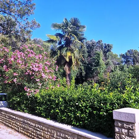 Molo View Apartment Rovinj Exterior photo