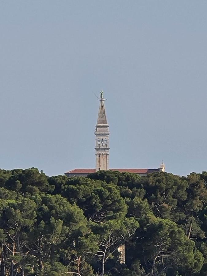 Molo View