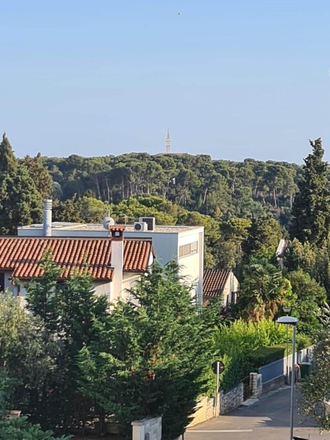 Molo View Apartma