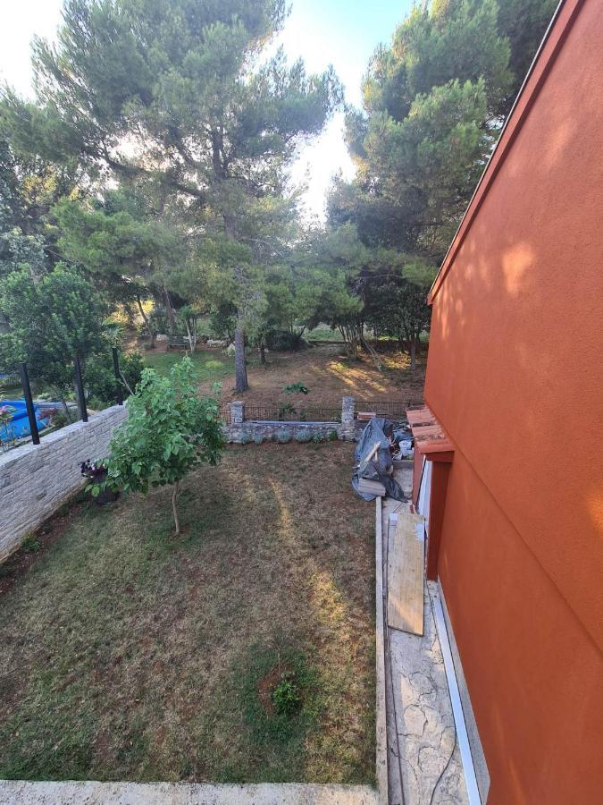 Apartma Molo View