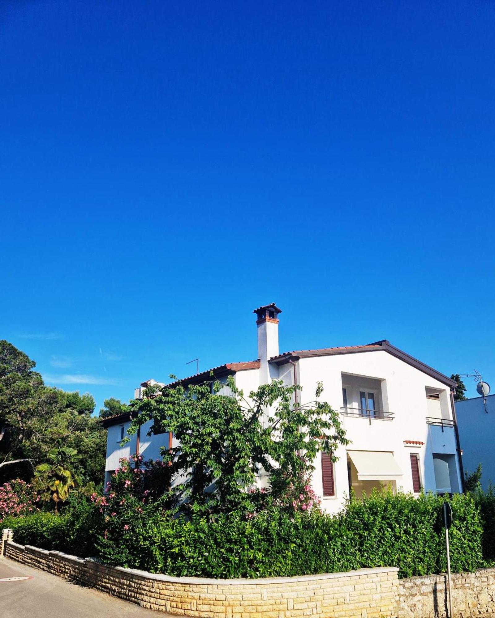 Apartma Molo View