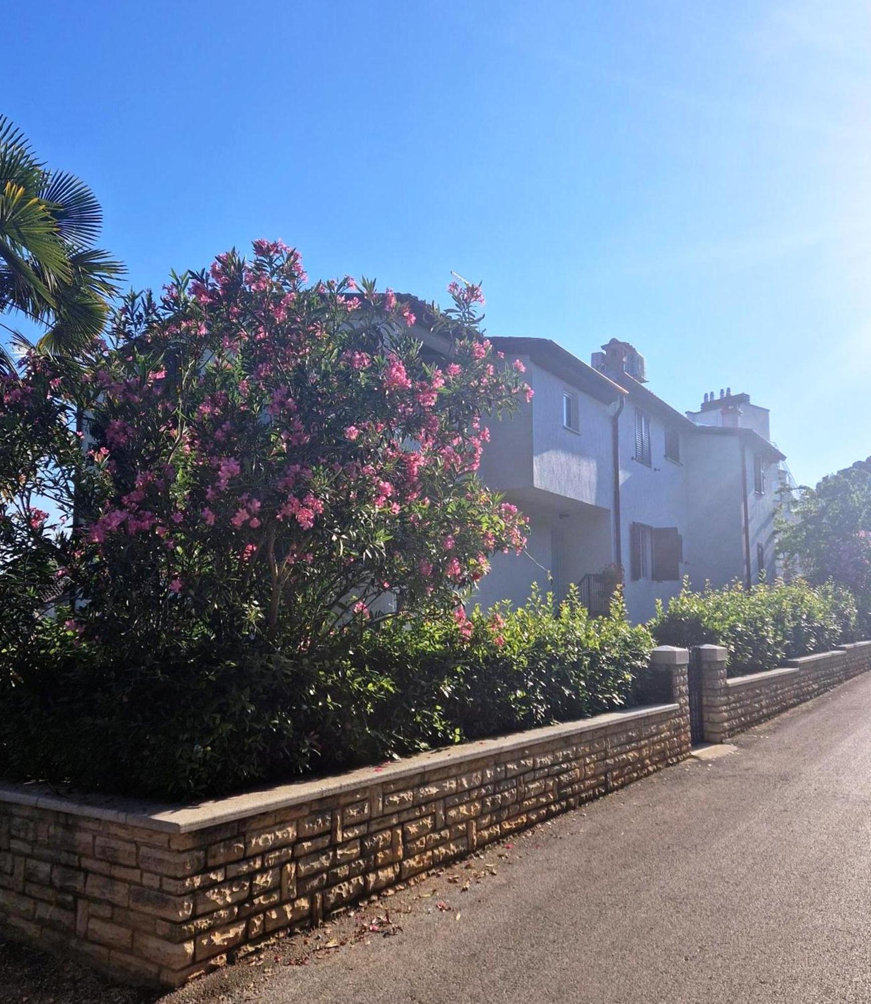 Molo View Apartma