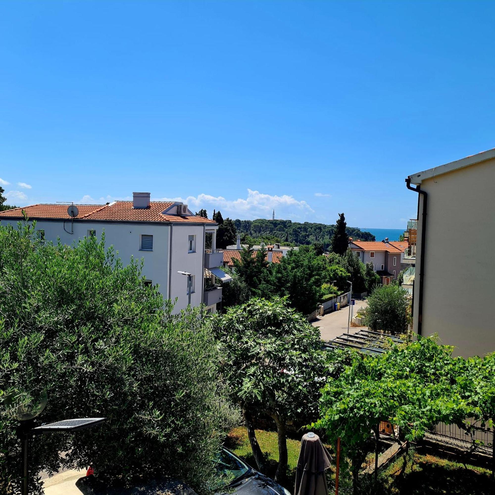 Molo View Apartmán