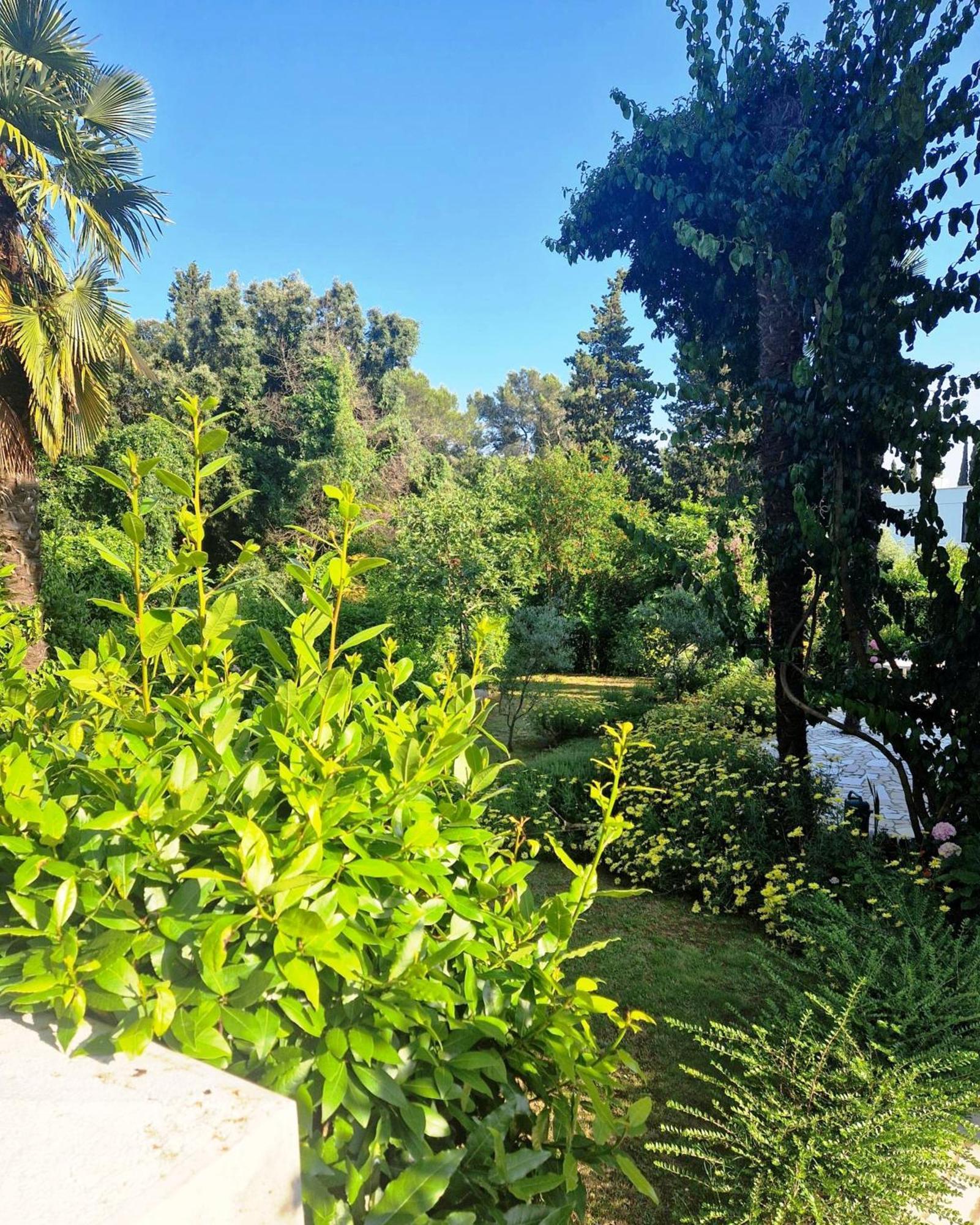 Apartment Molo View Rovinj